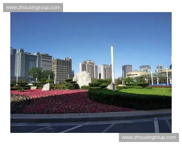 回望2017郑州足球赛事激情盛况彰显城市体育精神力量与活力共鸣